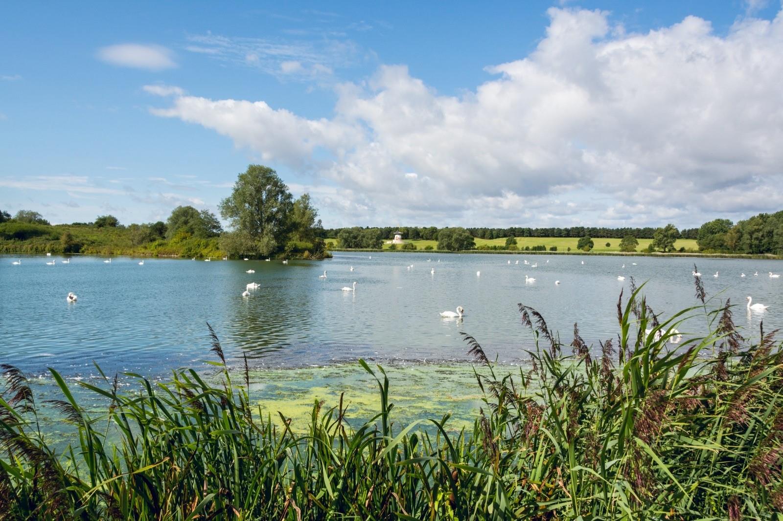 Whitsun Pasture, Willen Park, Milton Keynes